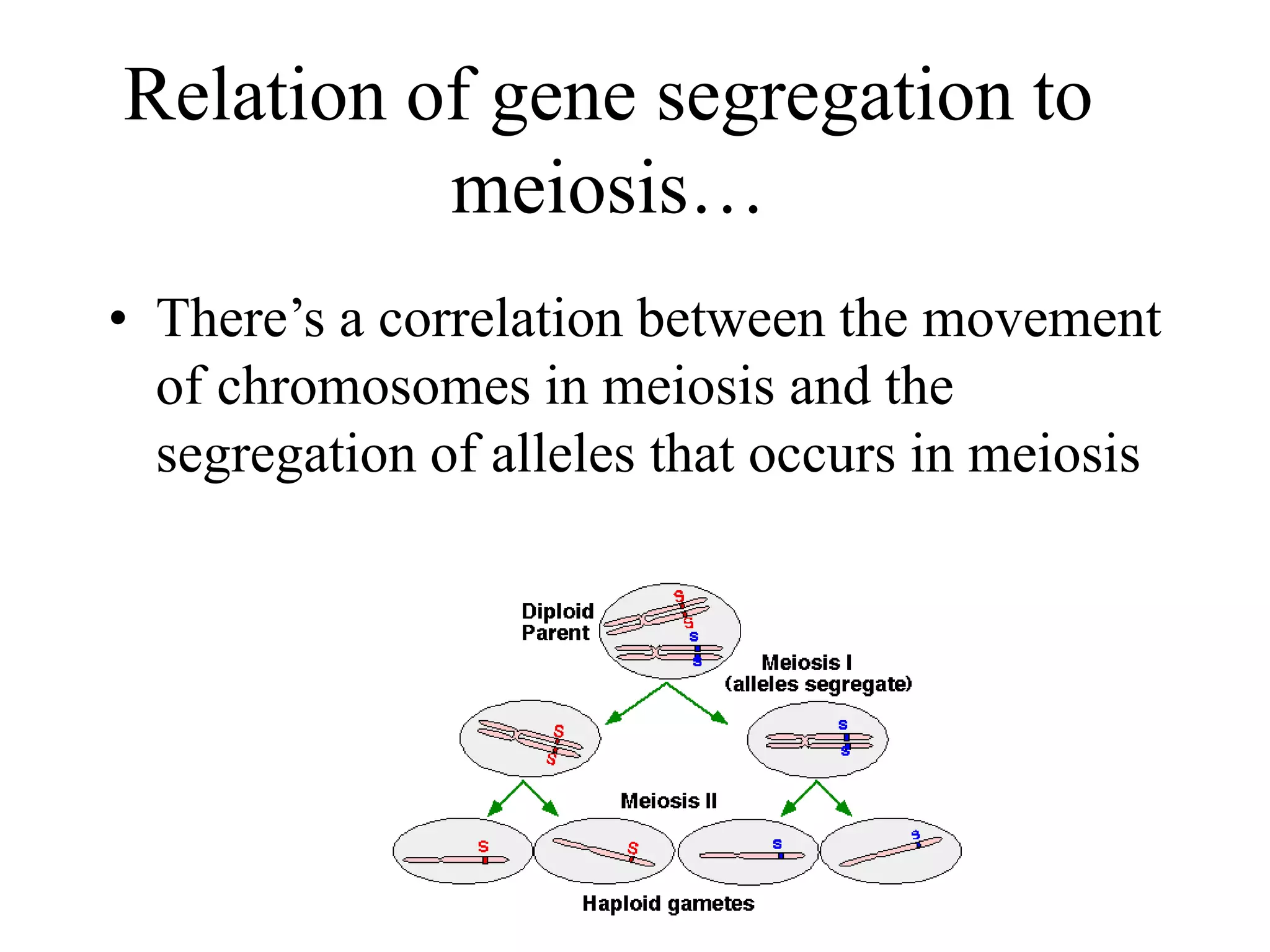 Relation of gene segregation to
meiosis…
• There’s a correlation between the movement
of chromosomes in meiosis and the
segregation of alleles that occurs in meiosis
 