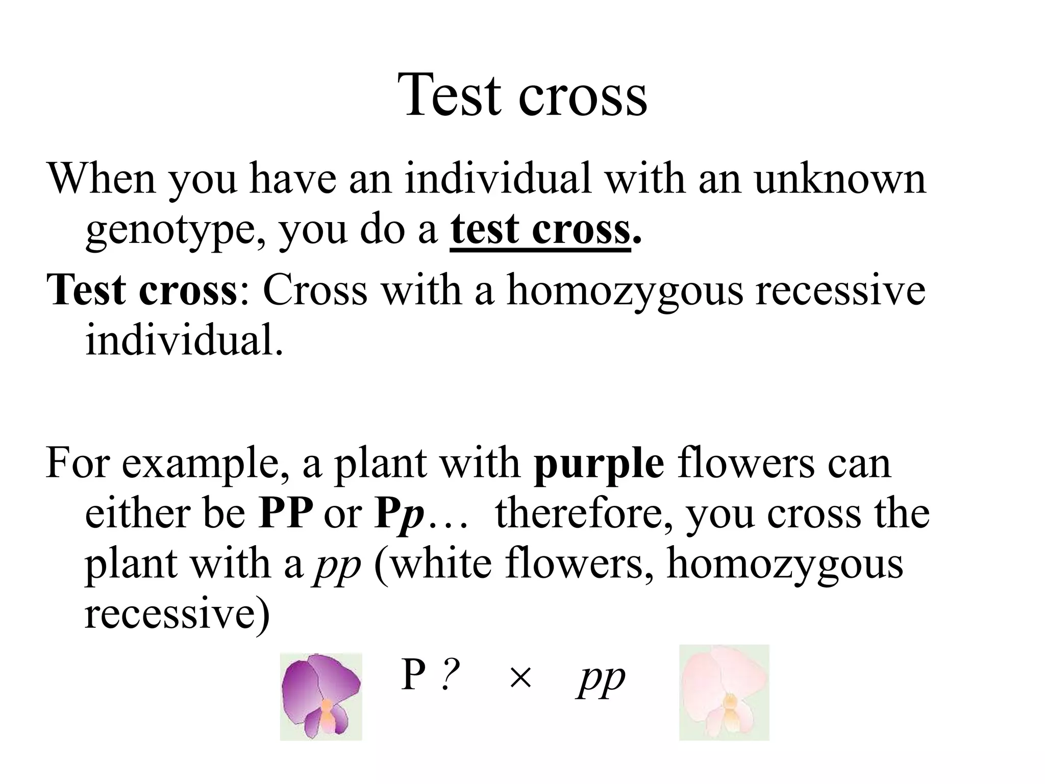 Test cross
When you have an individual with an unknown
genotype, you do a test cross.
Test cross: Cross with a homozygous recessive
individual.
For example, a plant with purple flowers can
either be PP or Pp… therefore, you cross the
plant with a pp (white flowers, homozygous
recessive)
P ?  pp
 