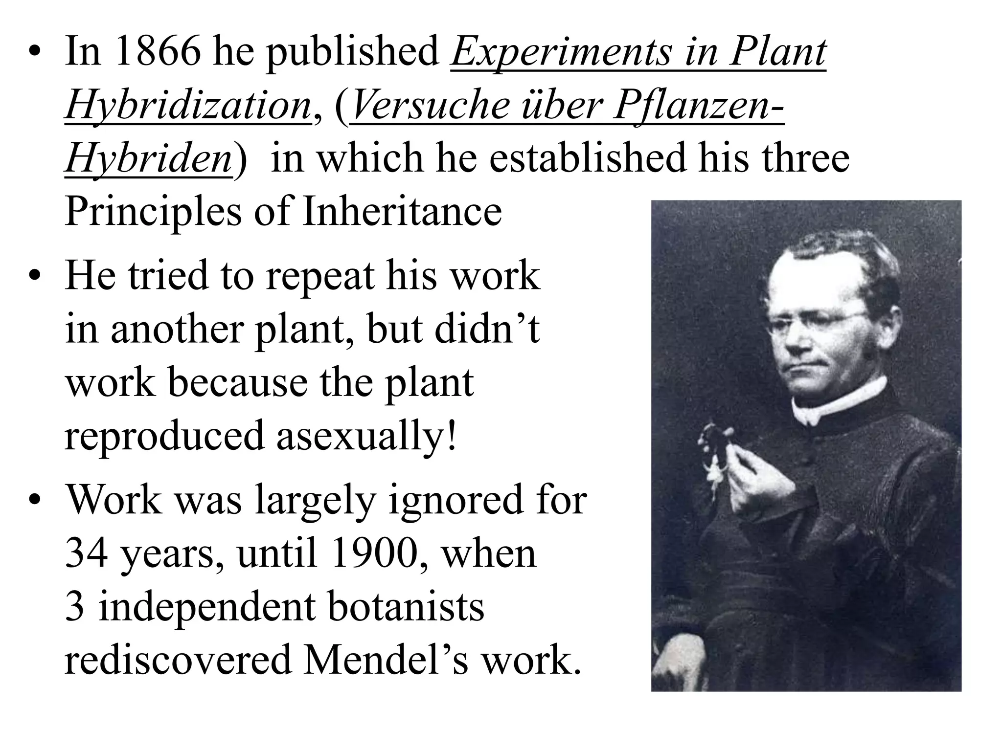 • In 1866 he published Experiments in Plant
Hybridization, (Versuche über Pflanzen-
Hybriden) in which he established his three
Principles of Inheritance
• He tried to repeat his work
in another plant, but didn’t
work because the plant
reproduced asexually!
• Work was largely ignored for
34 years, until 1900, when
3 independent botanists
rediscovered Mendel’s work.
 