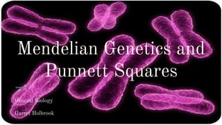 Mendelian Genetics and
Punnett Squares
General Biology
Garret Holbrook
 