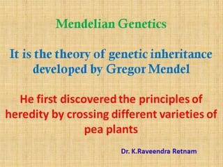 Mendelian genetics .pptx