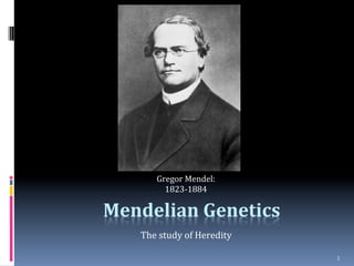 1	
  
Mendelian	
  Genetics	
  
The	
  study	
  of	
  Heredity	
  
Gregor	
  Mendel:
	
  
1823-­‐1884
	
  
 