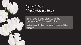 Mendelian Genetics: Understanding Traits, Genotypes & Phenotypes | PPTX