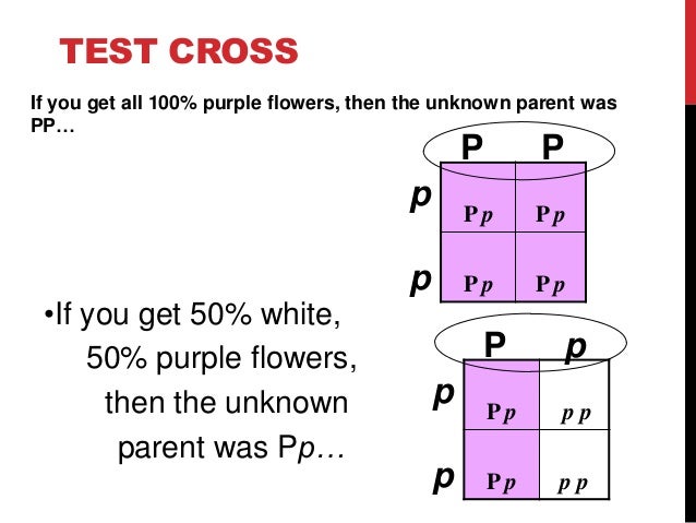 Two point test cross pdf to jpg