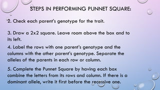 STEPS IN PERFORMING PUNNET SQUARE:
2. Check each parent’s genotype for the trait.
3. Draw a 2x2 square. Leave room above the box and to
its left.
4. Label the rows with one parent’s genotype and the
columns with the other parent’s genotype. Separate the
alleles of the parents in each row or column.
5. Complete the Punnet Square by having each box
combine the letters from its rows and column. If there is a
dominant allele, write it first before the recessive one.
 