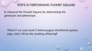 STEPS IN PERFORMING PUNNET SQUARE:
6. Interpret the Punnett Square by determining the
genotype and phenotype.
What if we cross bred 2 heterozygous shorthaired guinea
pigs, what will be the resulting offspring?
 