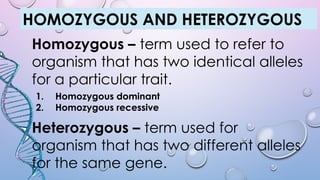 HOMOZYGOUS AND HETEROZYGOUS
Homozygous – term used to refer to
organism that has two identical alleles
for a particular trait.
1. Homozygous dominant
2. Homozygous recessive
Heterozygous – term used for
organism that has two different alleles
for the same gene.
 