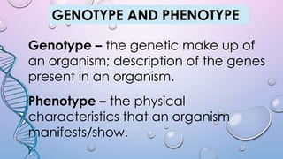 GENOTYPE AND PHENOTYPE
Genotype – the genetic make up of
an organism; description of the genes
present in an organism.
Phenotype – the physical
characteristics that an organism
manifests/show.
 