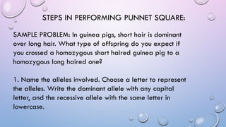 STEPS IN PERFORMING PUNNET SQUARE:
1. Name the alleles involved. Choose a letter to represent
the alleles. Write the dominant allele with any capital
letter, and the recessive allele with the same letter in
lowercase.
SAMPLE PROBLEM: In guinea pigs, short hair is dominant
over long hair. What type of offspring do you expect if
you crossed a homozygous short haired guinea pig to a
homozygous long haired one?
 