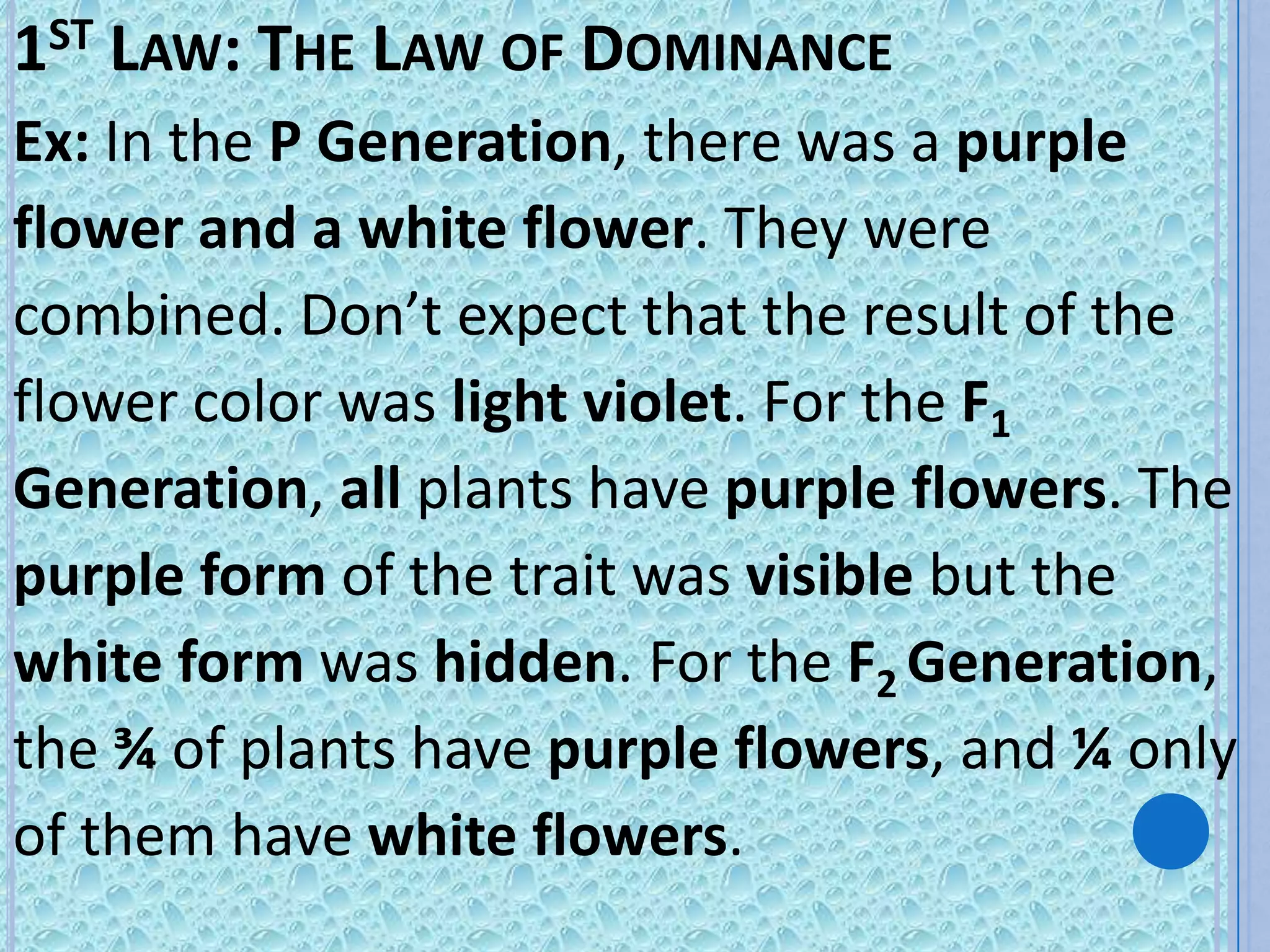 1ST LAW: THE LAW OF DOMINANCE
Ex: In the P Generation, there was a purple
flower and a white flower. They were
combined. Don’t expect that the result of the
flower color was light violet. For the F1
Generation, all plants have purple flowers. The
purple form of the trait was visible but the
white form was hidden. For the F2 Generation,
the ¾ of plants have purple flowers, and ¼ only
of them have white flowers.
 