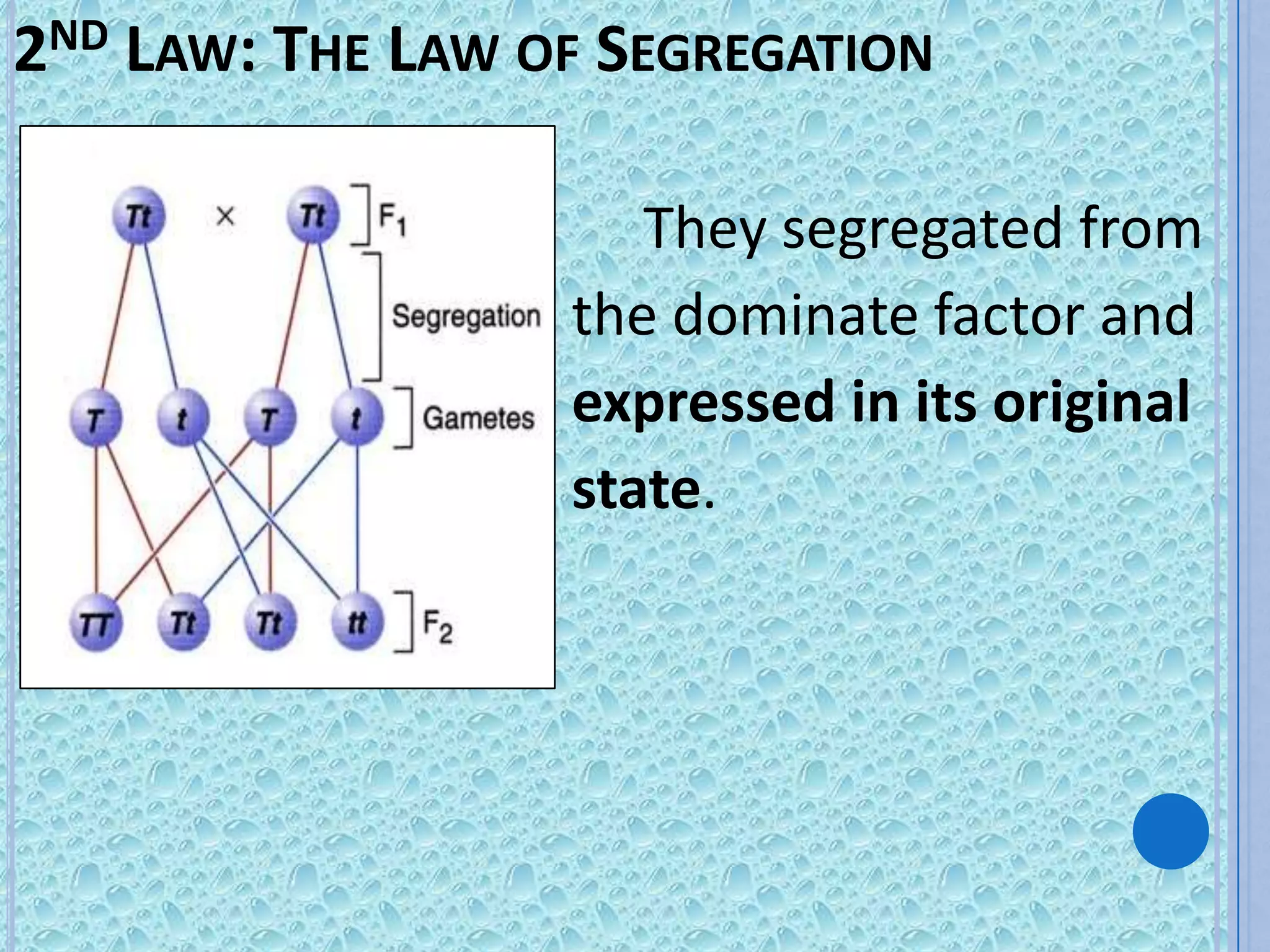2ND LAW: THE LAW OF SEGREGATION

                     They segregated from
                  the dominate factor and
                  expressed in its original
                  state.
 