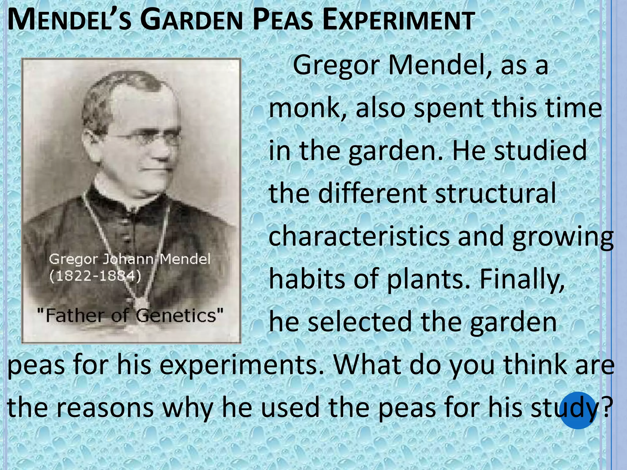 MENDEL’S GARDEN PEAS EXPERIMENT
                      Gregor Mendel, as a
                    monk, also spent this time
                    in the garden. He studied
                    the different structural
                    characteristics and growing
                    habits of plants. Finally,
                    he selected the garden
peas for his experiments. What do you think are
the reasons why he used the peas for his study?
 