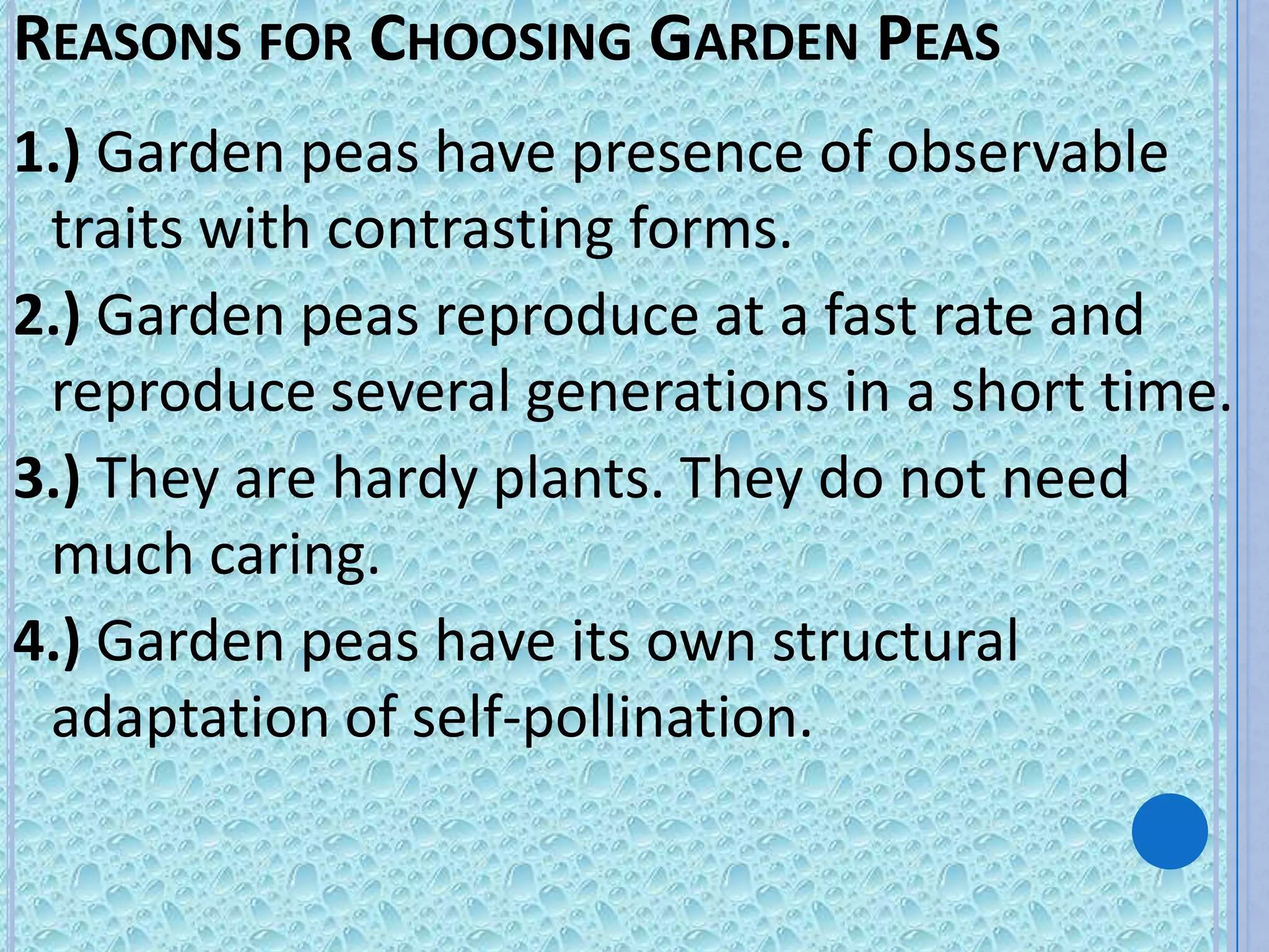 REASONS FOR CHOOSING GARDEN PEAS
1.) Garden peas have presence of observable
 traits with contrasting forms.
2.) Garden peas reproduce at a fast rate and
 reproduce several generations in a short time.
3.) They are hardy plants. They do not need
 much caring.
4.) Garden peas have its own structural
 adaptation of self-pollination.
 
