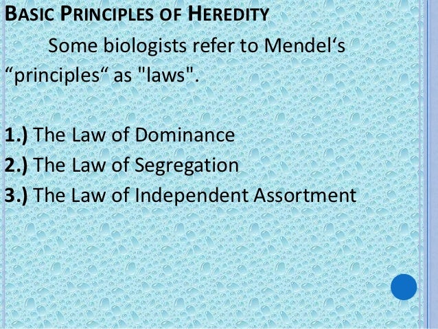 Basic principles of heredity
