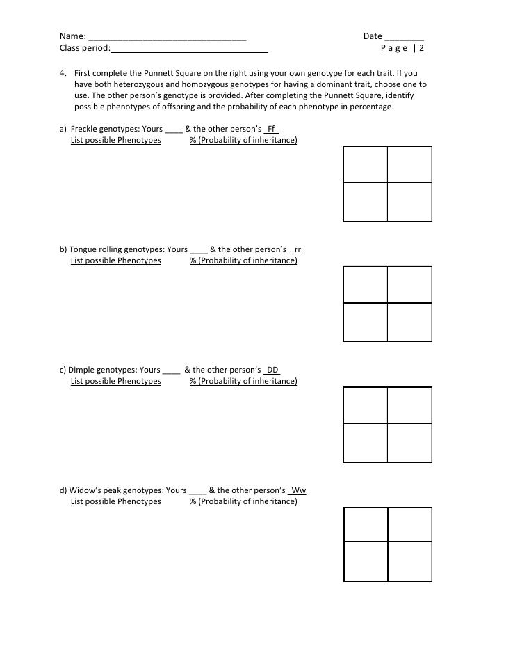 mendelian-traits-activity