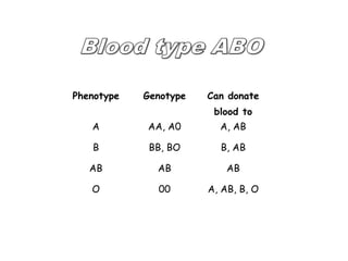 Phenotype Genotype Can donate 
blood to 
A AA, A0 A, AB 
B BB, BO B, AB 
AB AB AB 
O 00 A, AB, B, O 
 