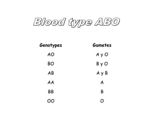 Genotypes Gametes 
AO A y O 
BO B y O 
AB A y B 
AA A 
BB B 
OO O 
 