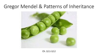 Gregor Mendel & Patterns of Inheritance
Ch. 12.1-12.2
 
