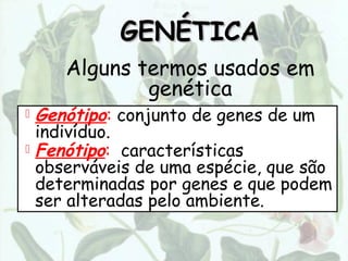 GENÉTICA
    Alguns termos usados em
            genética
 Genótipo: conjunto de genes de um
  indivíduo.
 Fenótipo: características
  observáveis de uma espécie, que são
  determinadas por genes e que podem
  ser alteradas pelo ambiente.
 