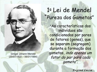 1a Lei de Mendel
                            “Pureza dos Gametas”
                              “As características dos
                                   indivíduos são
                             condicionadas por pares
                              de fatores (genes), que
                              se separam (segregam)
                             durante a formação dos
  Gregor Johann Mendel       gametas, indo apenas um
(20/07/1822 – 06/01/1884)     fator do par para cada
                                      gameta”.

                                          Regina Lúcia
 