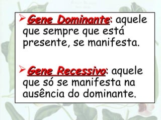 Gene Dominante: aquele
 que sempre que está
 presente, se manifesta.

Gene Recessivo: aquele
 que só se manifesta na
 ausência do dominante.
 