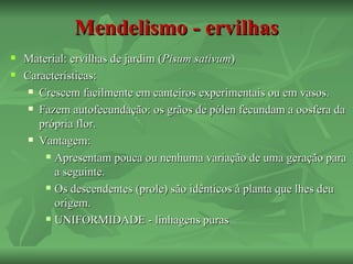 Mendelismo - ervilhas
   Material: ervilhas de jardim (Pisum sativum)
   Características:
      Crescem facilmente em canteiros experimentais ou em vasos.

      Fazem autofecundação: os grãos de pólen fecundam a oosfera da

       própria flor.
      Vantagem:

         Apresentam pouca ou nenhuma variação de uma geração para

          a seguinte.
         Os descendentes (prole) são idênticos à planta que lhes deu

          origem.
         UNIFORMIDADE - linhagens puras
 