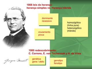 1866 leis da herança:
              herança simples vs. Herança hibrida



                           dominante
                           recessivo
                                                  homozigótico
                                                  (línha pura)
                                                  heterozigótico
                                                  (híbrido)
                        cruzamento
                        prova




               1900 redescobrimento:
               C. Correns, E. von Tschermak y H. de Vries

                  genética
                                       genotipo
                  gene / alelo
                                       fenotipo
(1822-1884)
 