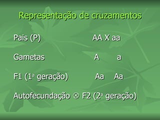 Representação de cruzamentos

Pais (P)            AA X aa

Gametas             A     a

F1 (1a geração)      Aa   Aa

Autofecundação  F2 (2a geração)
 