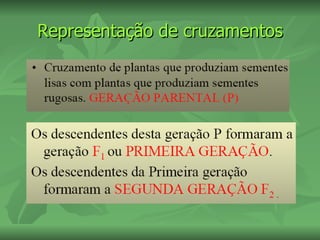 Representação de cruzamentos
 