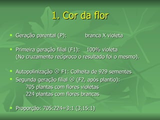 1. Cor da flor
   Geração parental (P):       branca X violeta

   Primeira geração filial (F1): 100% violeta
    (No cruzamento recíproco o resultado foi o mesmo).

   Autopolinização  F1: Colheita de 929 sementes
   Segunda geração filial  (F2, após plantio):
        705 plantas com flores violetas
        224 plantas com flores brancas

   Proporção: 705:224=3:1 (3,15:1)
 