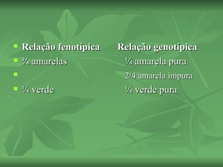    Relação fenotípica   Relação genotípica
   ¾ amarelas            ¼ amarela pura
                         2/4 amarela impura
   ¼ verde               ¼ verde pura
 