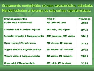 Cruzamento monoíbrido: só uma característica estudada.
Mendel estudou a herança de seis outras características.

 Linhagens parentais                   Prole F1                       Proporção
 Plantas altas X Plantas anãs          787 altas, 277 anãs             2,84:1

 Sementes lisas X Sementes rugosas     5474 lisas, 1850 rugosas        2,96:1

 Sementes amarelas X Sementes verdes   6022 amarelas, 2001 verdes      3,01:1

 Flores violetas X Flores brancas      705 violetas, 224 brancas       3,15:1

 Vagens infladas X Vagens constritas   882 infladas, 299 constritas    2,95:1

 Vagens verdes X Vagens amarelas       428 verdes, 152 amarelas        2,82:1

 Flores axiais X Flores terminais      651 axiais, 207 terminais       3,14:1
 
