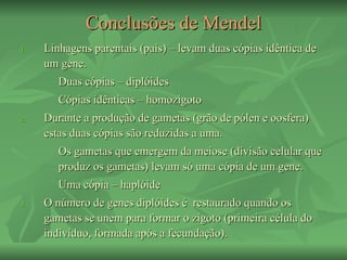 Conclusões de Mendel
1.   Linhagens parentais (pais) – levam duas cópias idêntica de
     um gene.
        Duas cópias – diplóides
        Cópias idênticas – homozigoto
2.   Durante a produção de gametas (grão de pólen e oosfera)
     estas duas cópias são reduzidas a uma.
        Os gametas que emergem da meiose (divisão celular que
        produz os gametas) levam só uma cópia de um gene.
        Uma cópia – haplóide
3.   O número de genes diplóides é restaurado quando os
     gametas se unem para formar o zigoto (primeira célula do
     indivíduo, formada após a fecundação).
 