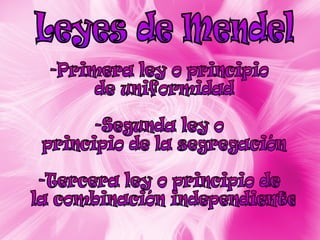 Leyes de Mendel -Primera ley o principio de uniformidad -Segunda ley o principio de la segregación -Tercera ley o principio de la combinación independiente