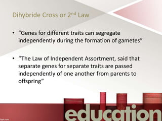 Dihybride Cross or 2nd Law
• “Genes for different traits can segregate
independently during the formation of gametes”
• “The Law of Independent Assortment, said that
separate genes for separate traits are passed
independently of one another from parents to
offspring”
 