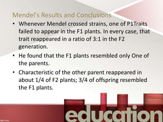 Mendel's Results and Conclusions
• Whenever Mendel crossed strains, one of P1Traits
failed to appear in the F1 plants. In every case, that
trait reappeared in a ratio of 3:1 in the F2
generation.
• He found that the F1 plants resembled only One of
the parents.
• Characteristic of the other parent reappeared in
about 1/4 of F2 plants; 3/4 of offspring resembled
the F1 plants.
 