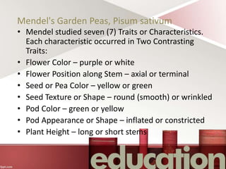 Mendel's Garden Peas, Pisum sativum
• Mendel studied seven (7) Traits or Characteristics.
Each characteristic occurred in Two Contrasting
Traits:
• Flower Color – purple or white
• Flower Position along Stem – axial or terminal
• Seed or Pea Color – yellow or green
• Seed Texture or Shape – round (smooth) or wrinkled
• Pod Color – green or yellow
• Pod Appearance or Shape – inflated or constricted
• Plant Height – long or short stems
 
