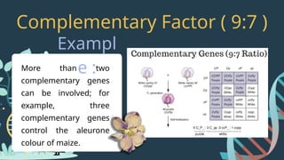 Mendels-Law-of-Inheritance-1.pptx physics | PPTX