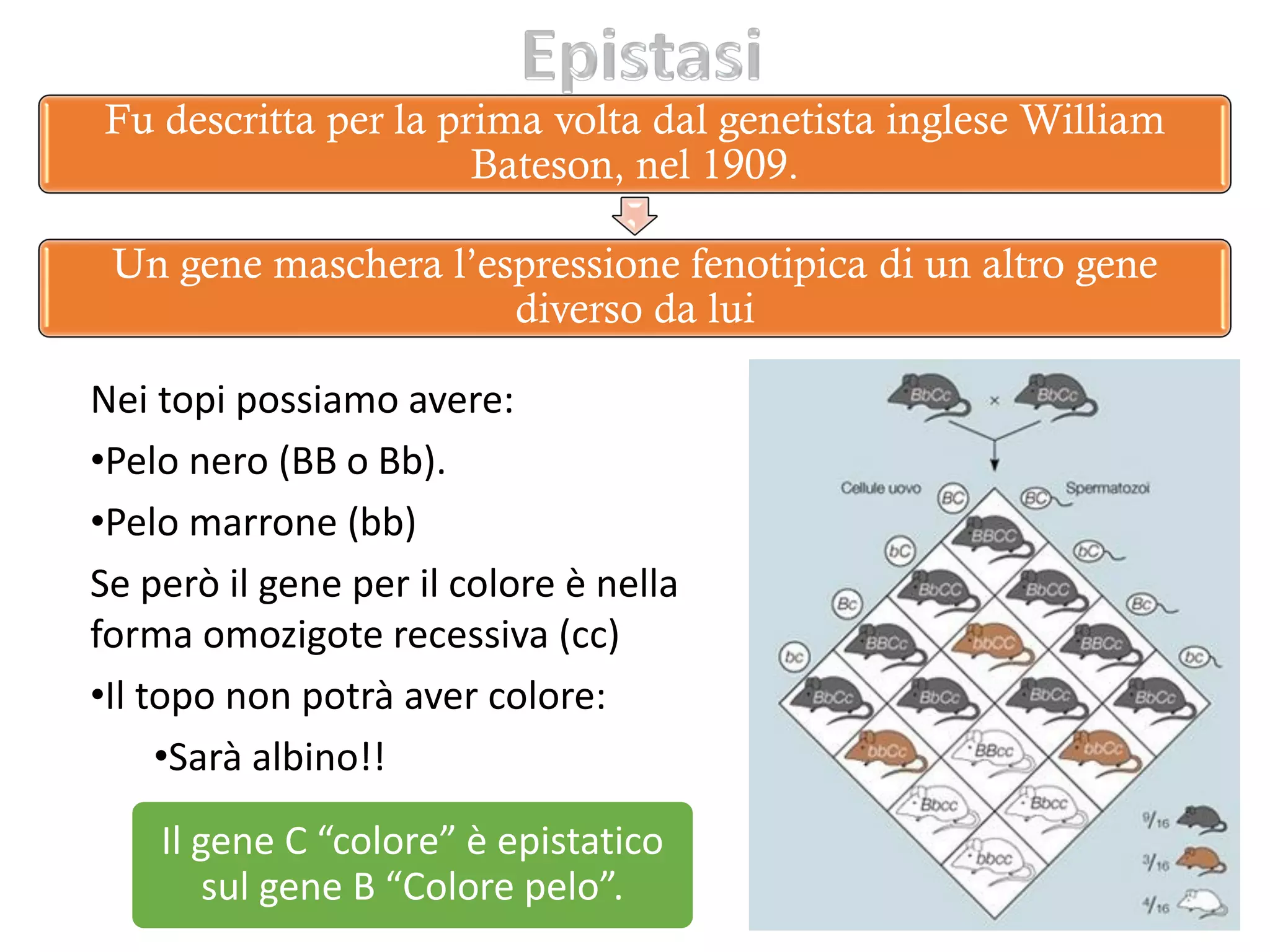 L'ereditarietà E Le Leggi Di Mendel Leggi di Mendel, le eccezioni e le patologie genetiche | PDF