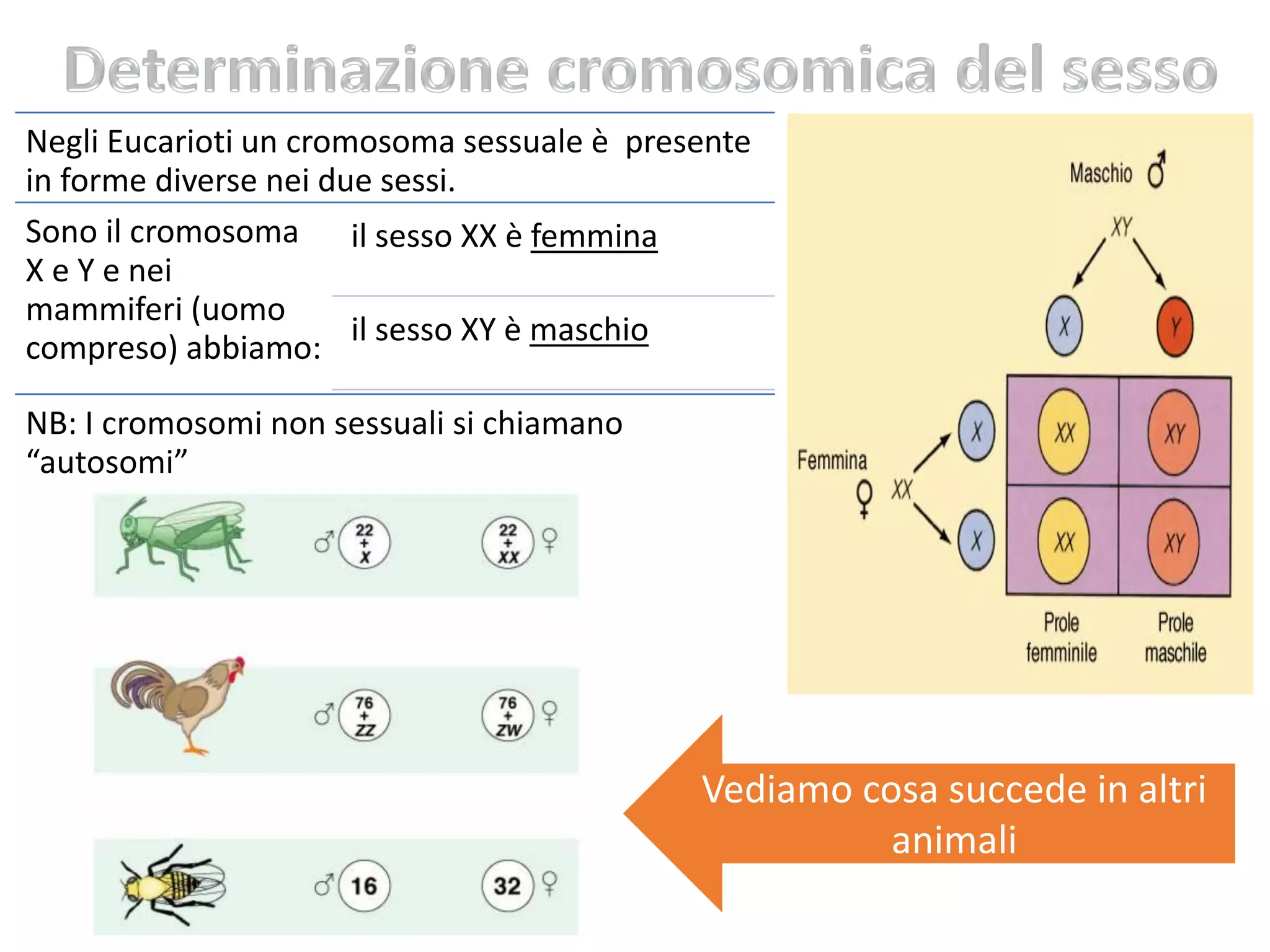 L'ereditarietà E Le Leggi Di Mendel Leggi di Mendel, le eccezioni e le patologie genetiche | PDF