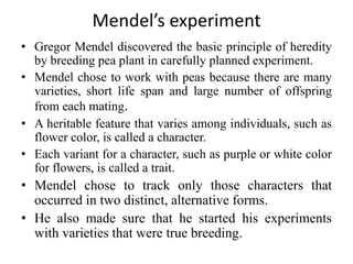 Mendel’s experiment
• Gregor Mendel discovered the basic principle of heredity
by breeding pea plant in carefully planned experiment.
• Mendel chose to work with peas because there are many
varieties, short life span and large number of offspring
from each mating.
• A heritable feature that varies among individuals, such as
flower color, is called a character.
• Each variant for a character, such as purple or white color
for flowers, is called a trait.
• Mendel chose to track only those characters that
occurred in two distinct, alternative forms.
• He also made sure that he started his experiments
with varieties that were true breeding.
 