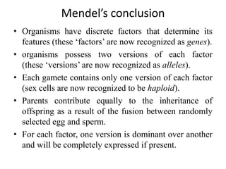 Mendel’s conclusion
• Organisms have discrete factors that determine its
features (these ‘factors’ are now recognized as genes).
• organisms possess two versions of each factor
(these ‘versions’ are now recognized as alleles).
• Each gamete contains only one version of each factor
(sex cells are now recognized to be haploid).
• Parents contribute equally to the inheritance of
offspring as a result of the fusion between randomly
selected egg and sperm.
• For each factor, one version is dominant over another
and will be completely expressed if present.
 