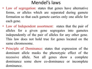 Mendel’s laws
• Law of segregation: states that genes have alternative
forms, or alleles which are separated during gamete
formation so that each gamete carries only one allele for
each gene.
• Law of Independent assortment: states that the pair of
alleles for a given gene segregates into gametes
independently of the pair of alleles for any other gene.
This law does not hold true for genes located on the
same chromosome.
• Principle of Dominance: states that expression of the
dominant allele masks the phenotypic effect of the
recessive allele. Not all genes show a complete
dominance some show co-dominance or incomplete
dominance.
 