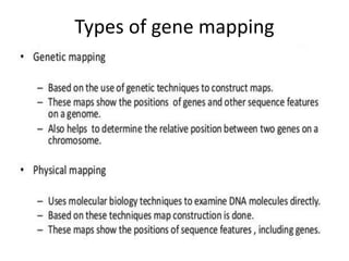 Types of gene mapping
 