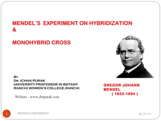 MENDEL’S EXPERIMENT ON HYBRIDIZATION
&
MONOHYBRID CROSS
By
Dr. ICHHA PURAK
UNIVERSITY PROFESSOR IN BOTANY
RANCHI WOMEN’S COLLEGE,RANCHI
Website : www,dripurak.com
05/21/13MENDEL'S EXPERIMENT1
GREGOR JOHANN
MENDEL
( 1822-1884 )
 