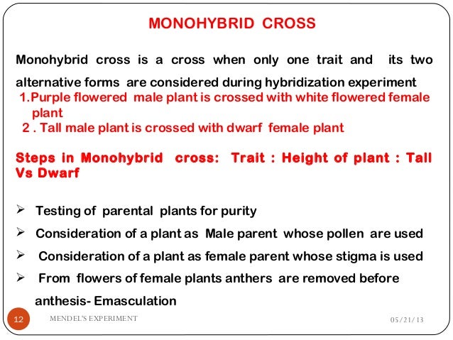 Establish The Mendels Monohybrid Ratio 3 1 Usibg An Example Science establish-the-mendels-monohybrid-ratio-3-1-usibg-an-example-science