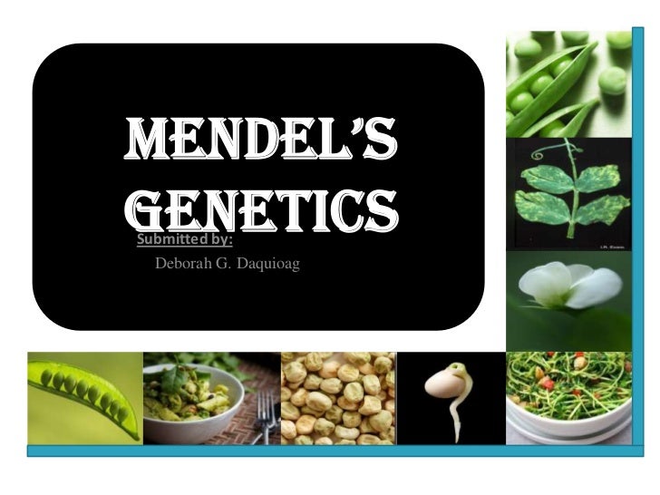 Mendelâ€™s genetics
