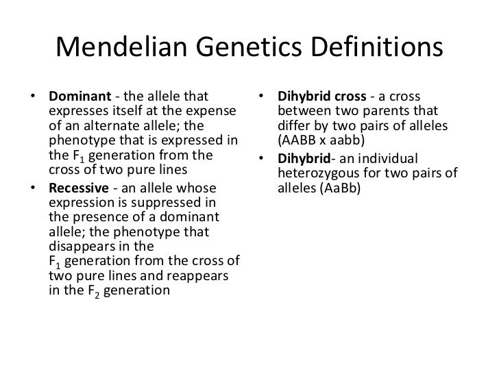 Mendel s Genetics Mendel s Genetics