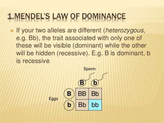 Mendel law