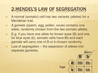Mendel law